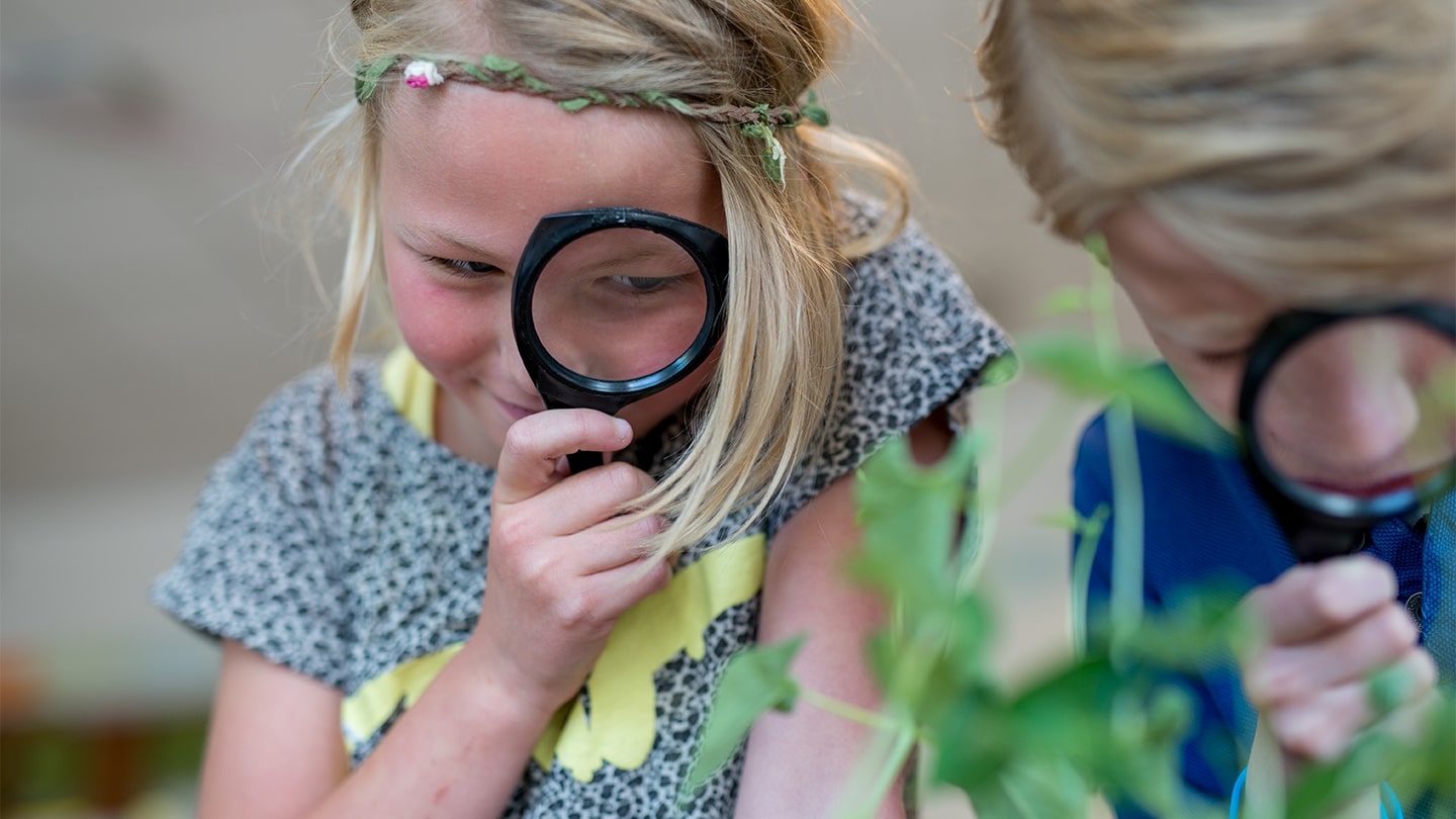 Geen koeien maar licht